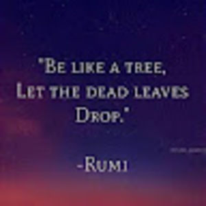 Meet your Posher, Cher